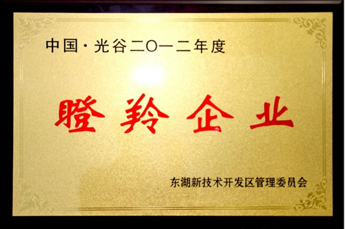 武汉77779193永利光电成功入选2012年度瞪羚企业